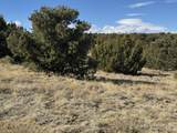 Lot 533 Rio Cucharas - Photo 14