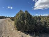 Lot 533 Rio Cucharas - Photo 15