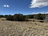 Lot 533 Rio Cucharas - Photo 17
