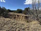 Lot 533 Rio Cucharas - Photo 19