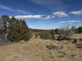 Lot 533 Rio Cucharas - Photo 4