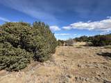 Lot 533 Rio Cucharas - Photo 5