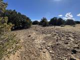 Lot 533 Rio Cucharas - Photo 7