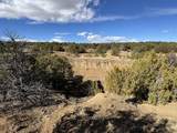 Lot 533 Rio Cucharas - Photo 8