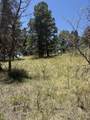 TBD Spanish Peaks Dr - Photo 10