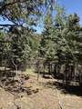 TBD Spanish Peaks Dr - Photo 11