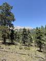 TBD Spanish Peaks Dr - Photo 12