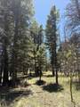 TBD Spanish Peaks Dr - Photo 13