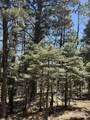 TBD Spanish Peaks Dr - Photo 14