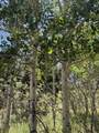 TBD Spanish Peaks Dr - Photo 15