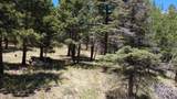 TBD Spanish Peaks Dr - Photo 18