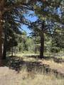 TBD Spanish Peaks Dr - Photo 20