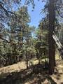 TBD Spanish Peaks Dr - Photo 24