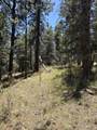TBD Spanish Peaks Dr - Photo 25