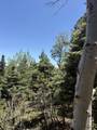 TBD Spanish Peaks Dr - Photo 26