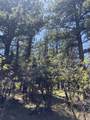 TBD Spanish Peaks Dr - Photo 27