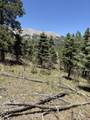 TBD Spanish Peaks Dr - Photo 28