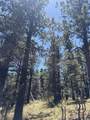 TBD Spanish Peaks Dr - Photo 29