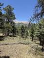 TBD Spanish Peaks Dr - Photo 30