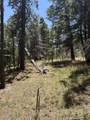 TBD Spanish Peaks Dr - Photo 31