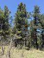 TBD Spanish Peaks Dr - Photo 32