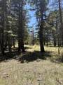 TBD Spanish Peaks Dr - Photo 33