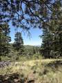 TBD Spanish Peaks Dr - Photo 34