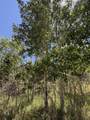 TBD Spanish Peaks Dr - Photo 8
