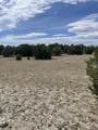 TBD Bear Springs - Photo 13