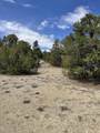 TBD Bear Springs - Photo 16