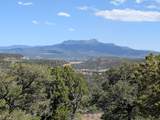 TBD Fishers Peak Ranch Pkwy - Photo 1