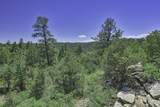 TBD Fishers Peak Ranch Pkwy - Photo 12