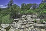 TBD Fishers Peak Ranch Pkwy - Photo 13