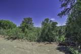 TBD Fishers Peak Ranch Pkwy - Photo 23