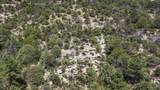 TBD Fishers Peak Ranch Pkwy - Photo 27
