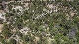 TBD Fishers Peak Ranch Pkwy - Photo 3