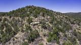 TBD Fishers Peak Ranch Pkwy - Photo 32