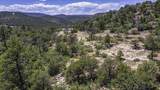 TBD Fishers Peak Ranch Pkwy - Photo 4