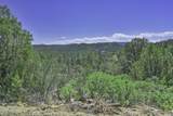 TBD Fishers Peak Ranch Pkwy - Photo 8
