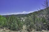 TBD Fishers Peak Ranch Pkwy - Photo 9