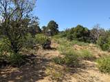 TBD Fishers Peak Ranch Pkwy - Photo 10