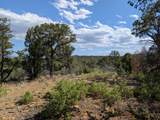 TBD Fishers Peak Ranch Pkwy - Photo 11