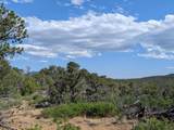 TBD Fishers Peak Ranch Pkwy - Photo 12