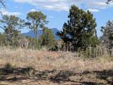 TBD Fishers Peak Ranch Pkwy - Photo 13
