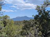 TBD Fishers Peak Ranch Pkwy - Photo 14