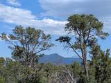 TBD Fishers Peak Ranch Pkwy - Photo 15
