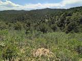 TBD Fishers Peak Ranch Pkwy - Photo 16