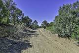TBD Fishers Peak Ranch Pkwy - Photo 19