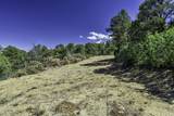 TBD Fishers Peak Ranch Pkwy - Photo 7