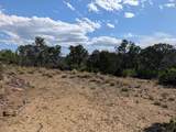 TBD Fishers Peak Ranch Pkwy - Photo 8